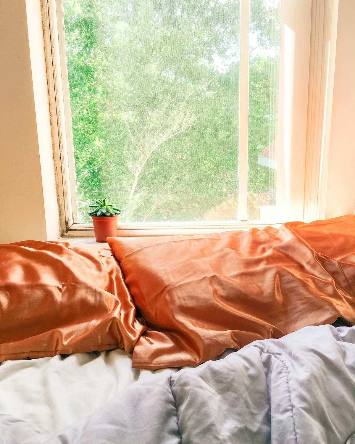 Warm morning light falling across a bed by a sunlit window
